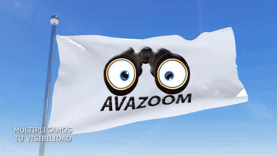 AVAZOOM BANDERA